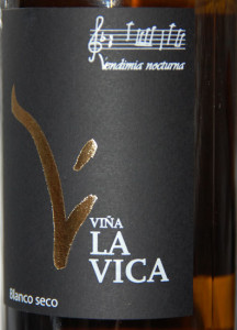 Vina-Vica-(19)
